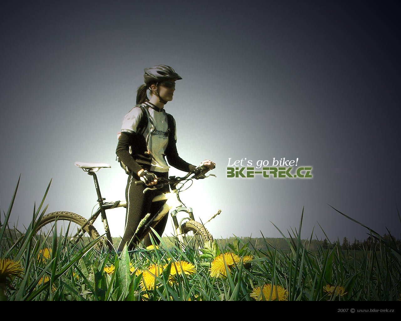 bikerkab